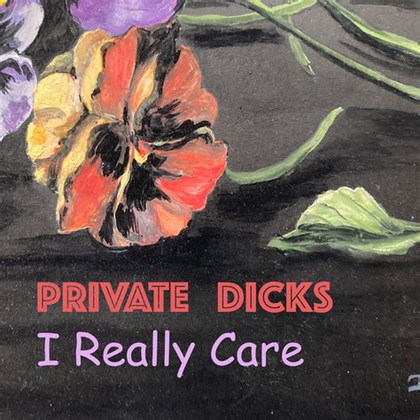 i really care single by private dicks spotify