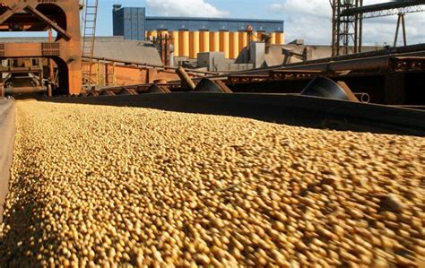 Brazil S 2016 17 Crop Reached 238 7 Million Tons 114