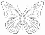 Butterfly Draw Artprojectsforkids sketch template