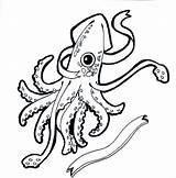 Squid Coloring Giant Drawing Pages Octopus Vampire Getdrawings Getcolorings Printable Clipartmag Color sketch template