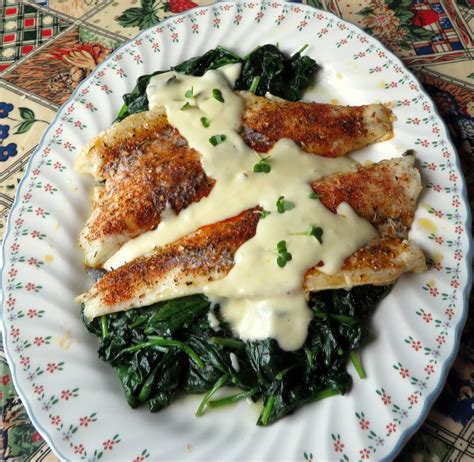 Roasted Sea Bass With A Lemon Parmesan Cream The English Kitchen