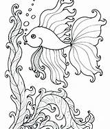 Fish Coloring Pages Adults Animals Adult Sea Printable Colouring Under Ocean Kids Comments Getdrawings Getcolorings sketch template