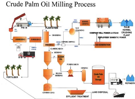 palm oil processing flow chartmanufacture palm oil extraction machine  extract palm oil