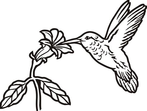 hummingbird silhouette tattoo  getdrawings