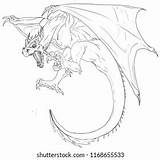 Wyvern Template sketch template