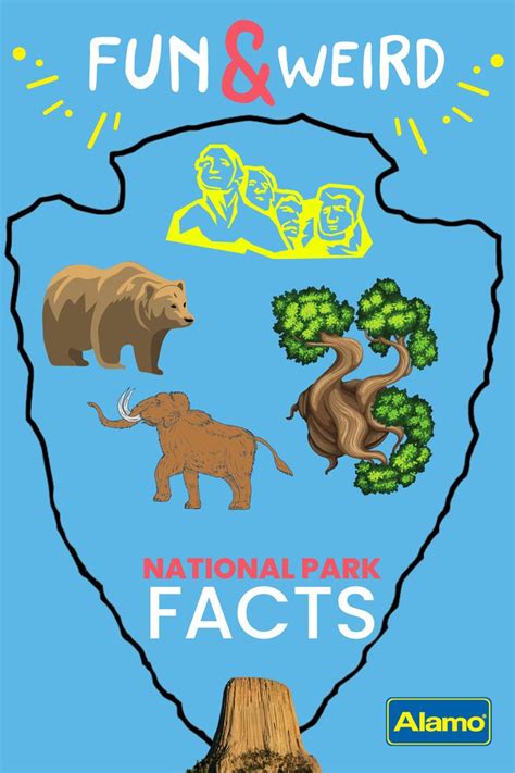 national park fun facts weird facts national parks california