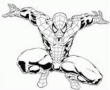 Spiderman Drawing Coloring Pages Getdrawings sketch template