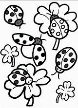 Ladybug Joaninha Colorir Birthday Primavera sketch template