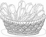 Basket Drawing Flowers Flower Baskets Coloring Wicker Embroidery Fruit Floral Patterns Getdrawings Cat sketch template