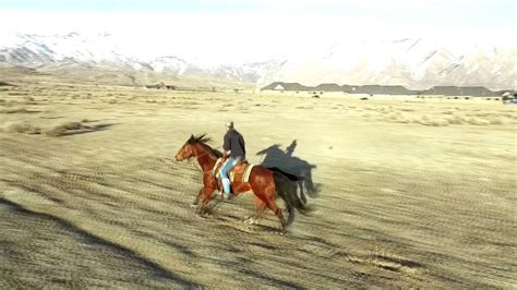 riding horses filmed  drone youtube
