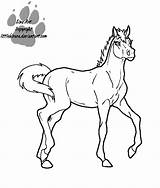 Filly Drawing Foal Getdrawings sketch template