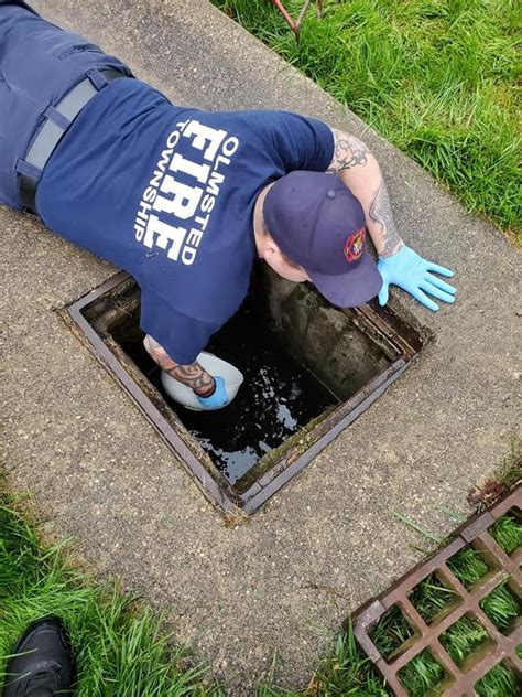 Olmsted Township Ducklings Rescued From Storm Drain