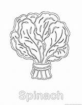 Spinach Coloring Pages Vegetable 123coloringpages sketch template