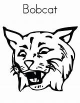 Coloring Bobcat Pages Getcolorings Print Pict Color sketch template