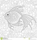 Antistress Coloring Fish Golden Adult sketch template