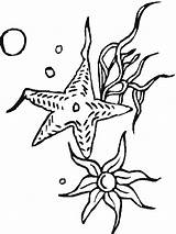 Coloring Starfish Pages Star Sea Seastar Printable Scene Color Ocean Kids Starfishes Animals Animal Sheets Print sketch template