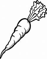 Carrot Coloring Pages Carrots Color Kids Printable Drawing Choose Board Clipartmag Getcolorings Clipart sketch template