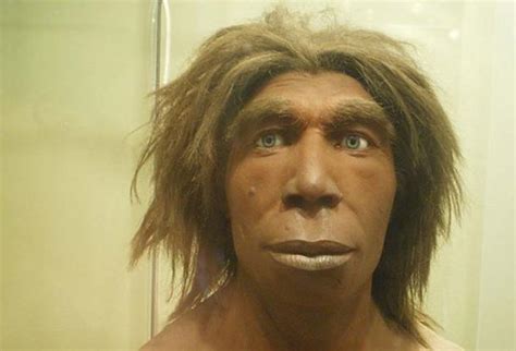 The Widespread Appearance Of Neanderthal Dna Africans