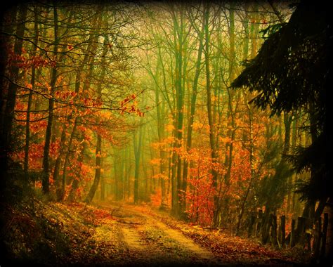 High Quality Desktop Wallpaper Of Nature Photo Of Autumn