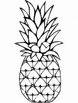 Ananas sketch template