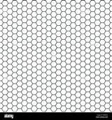Honeycomb Hexagon Vines Ivy Alamy sketch template