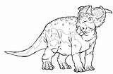 Pachyrhinosaurus Extinct Dinosaurios Kunjungi sketch template