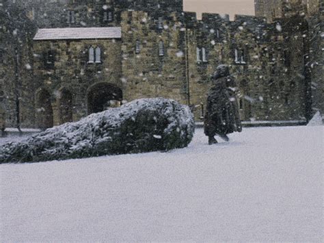 harry potter christmas find and share on giphy