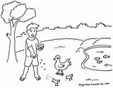 Hewan Mewarnai Sketsa Tumbuhan Menyayangi Kolam Binatang Ayam Tentang Manusia Kelinci Colouring Berbagi Gambarmewarnai Disimpan sketch template