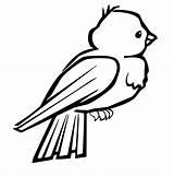 Bird Coloring Pages Print Cute sketch template