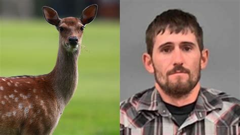 man caught poaching deer ordered to watch bambi for a year bt