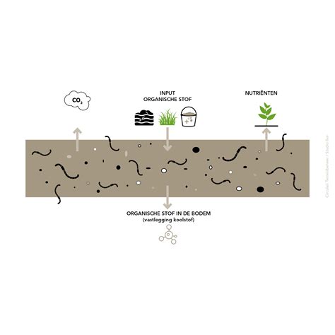 organische stof bodem circulair terreinbeheer