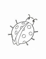 Coccinella Biedronka Colorat Ladybug Buburuze Joaninha Coccinelle Planse Animale P20 Kolorowanka Ladybird Miraculous Aventuras Lotu Primiiani Przygotowania Desene Mamydzieci Trendmetr sketch template