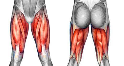 thigh pain injuries symptoms   treatment