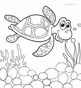 Tortuga Graciosa Turtle Dibujosonline sketch template
