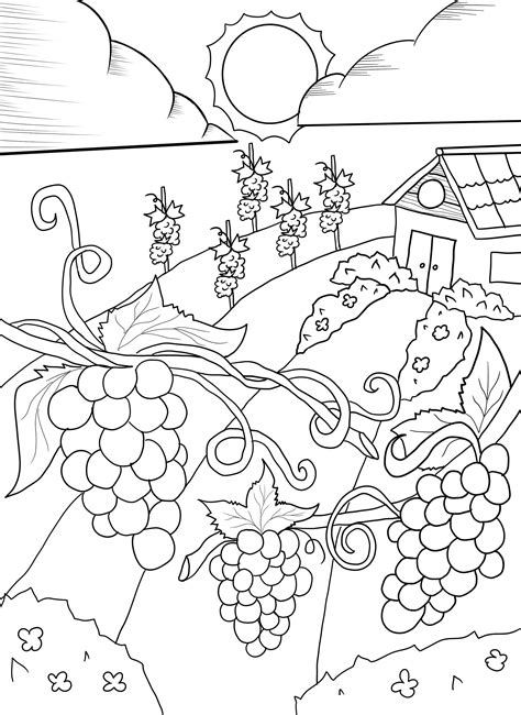 vineyard coloring pages coloring pages