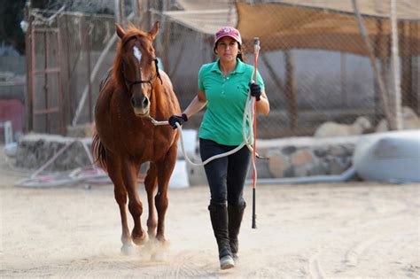 female saudi horse trainer sees hope  women news region