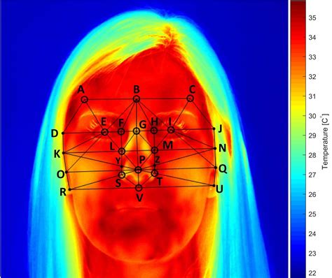 thermal imaging detects mental strain  pilots faces  engineer