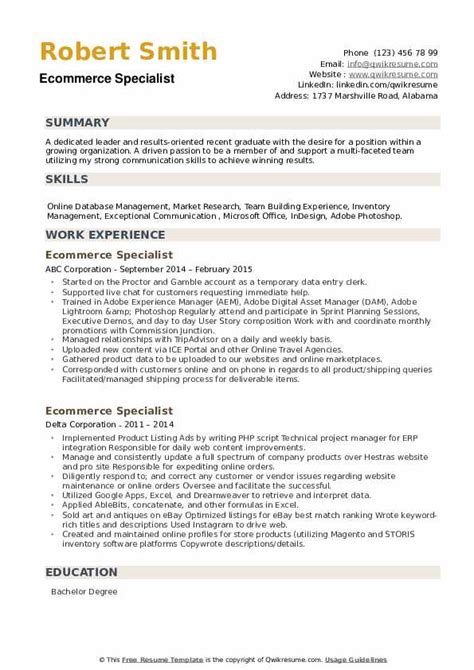 cv  seo expert resume template  seo consultant sample  seo