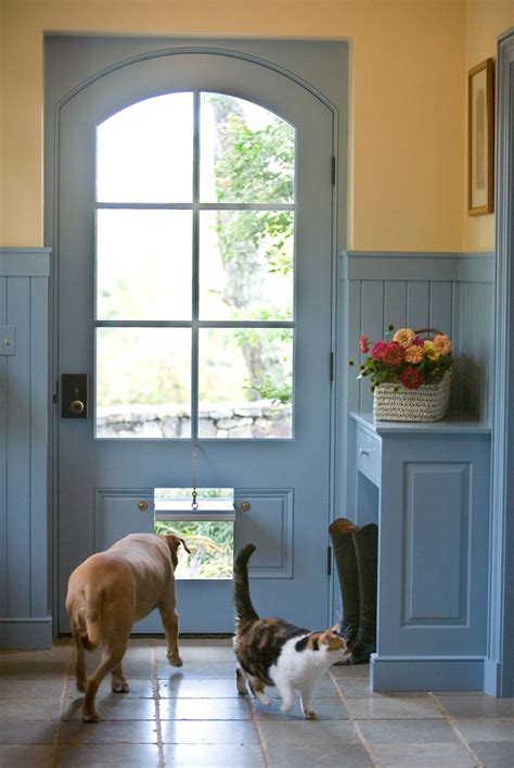 organized mudroom  haves   pets dog area glass material