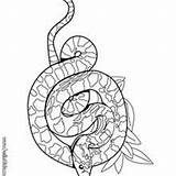 Serpiente Boa Hellokids Cascabel Reptiles Cobra Sibon Totem Animales Albina sketch template