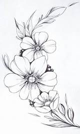 Blomster Tegninger Af Tegning sketch template