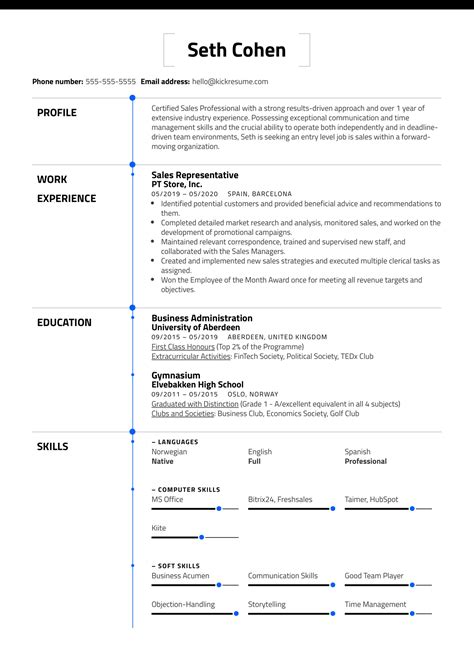 job resume examples
