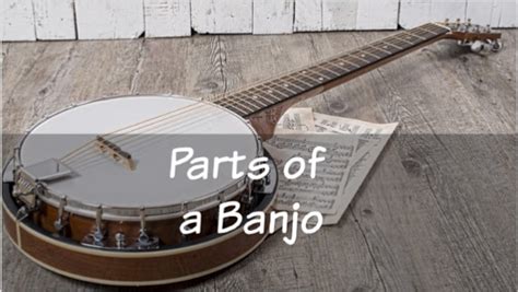 anatomy   banjo anatomy book