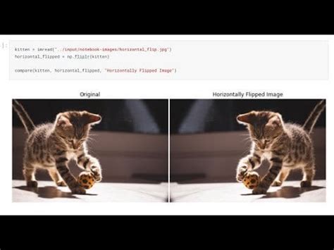 full tutorial  image processing  skimage rprogrammingsourcecode