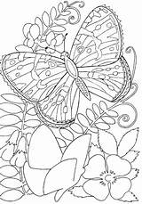 Coloring Butterfly Flowers Pages Flower Butterflies Kids Color Among Printable Sheets Adult Adults Hard Insects Drawing Print Book Supercoloring Buckeye sketch template
