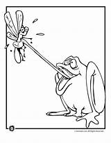Frog Coloring Fly Catching Pages Jr Cartoon Kids Woojr Animal Frogs Drawing sketch template