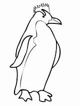 Penguin Coloring Penguins Macaroni Printable Outline Pittsburgh King Baby Clipart Chinstrap Clipartbest Super Getcolorings Emperor Drawing Getdrawings Clipartmag sketch template