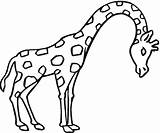 Giraffe Coloring Color Pages Animals sketch template