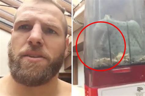 video rugby ace james haskell attacked by world s biggest spider