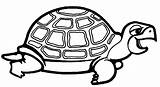 Tortuga Tortugas Acuaticos Descargar Hojas Reptil sketch template